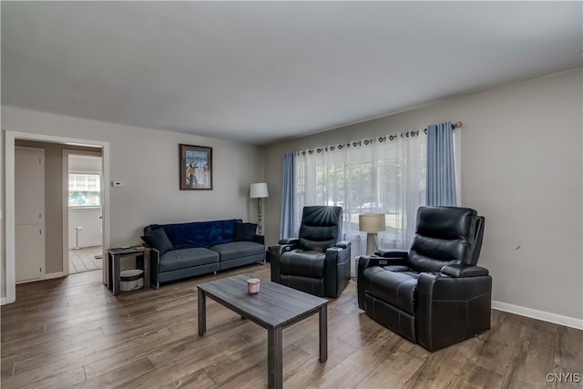 living room featuring hardwood / wood-style flooring