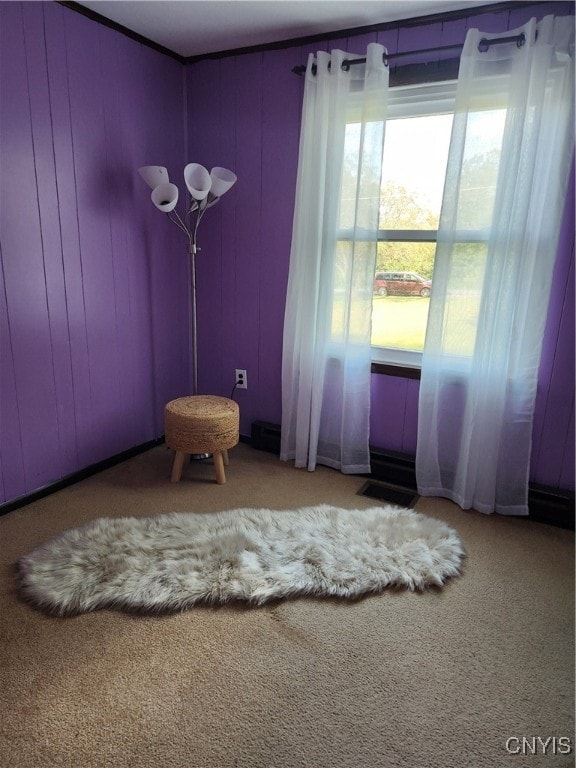 unfurnished room featuring carpet floors