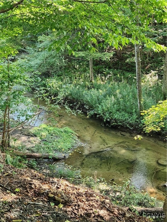 view of landscape with a water view