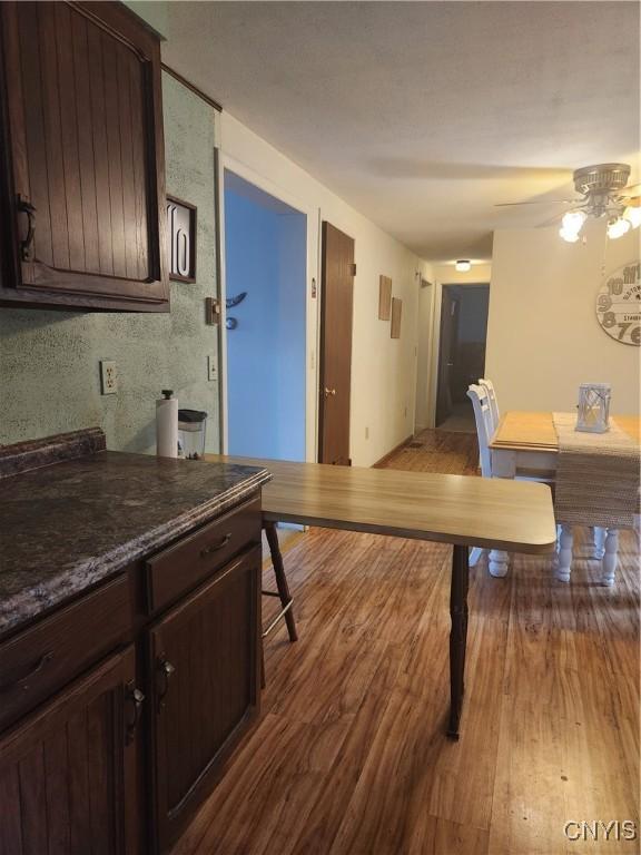 kitchen featuring ceiling fan, light hardwood / wood-style floors, and dark brown cabinetry