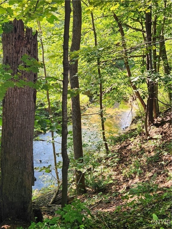 view of water feature