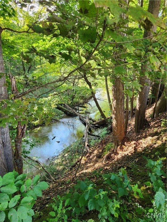 view of landscape featuring a water view