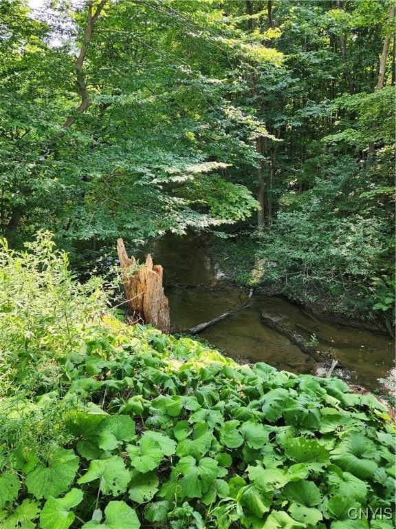 view of local wilderness with a water view