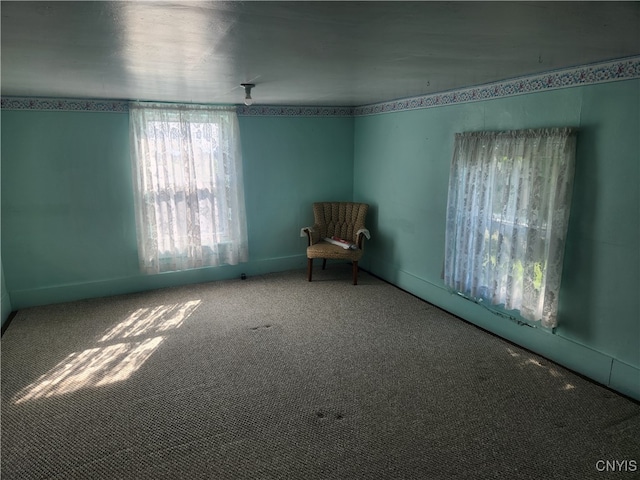 view of carpeted spare room