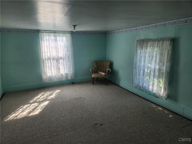 spare room featuring carpet floors