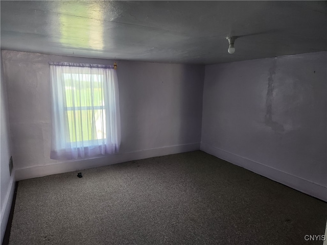 spare room with carpet