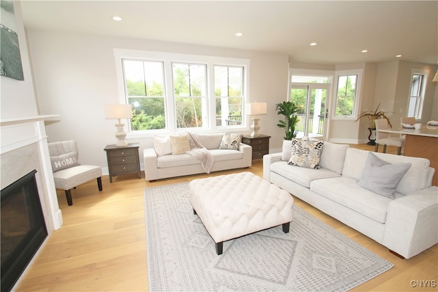 living room with light hardwood / wood-style flooring