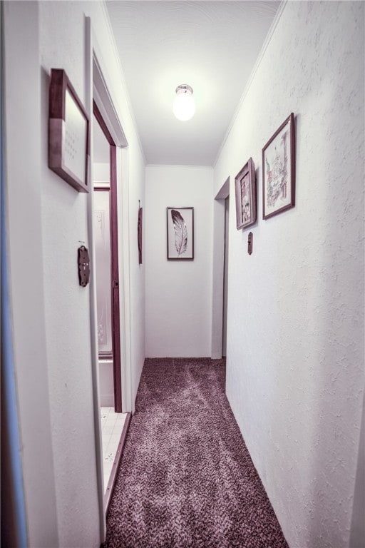 corridor with carpet floors and crown molding