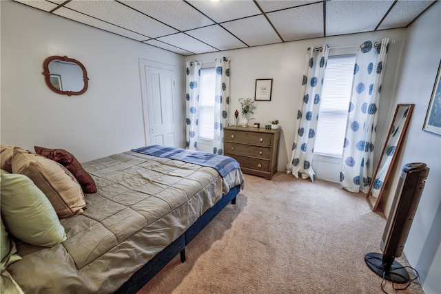 carpeted bedroom featuring a closet and a paneled ceiling