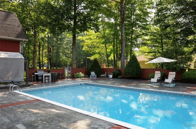 view of pool featuring a patio