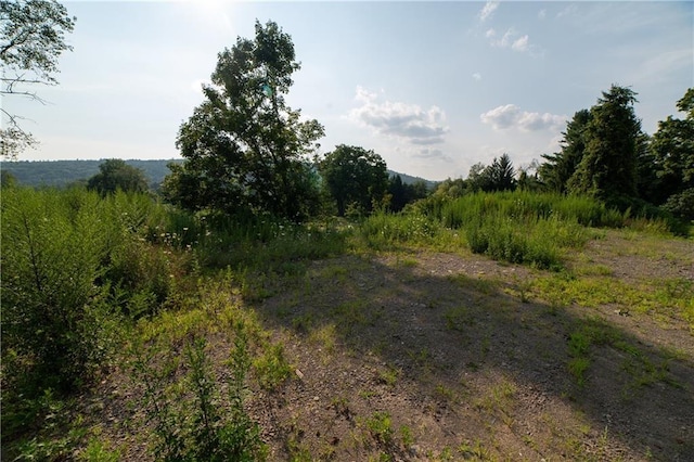 769 County Highway 1, Unadilla, NY 13809