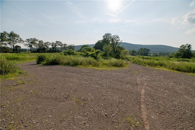 769 County Highway 1, Unadilla, NY 13809