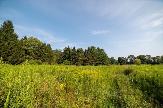769 County Highway 1, Unadilla, NY 13809