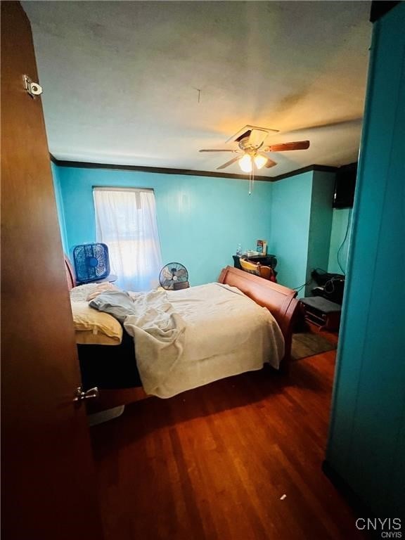 bedroom with ceiling fan, dark hardwood / wood-style floors, and crown molding