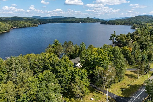 aerial view featuring a wooded view and a water and mountain view