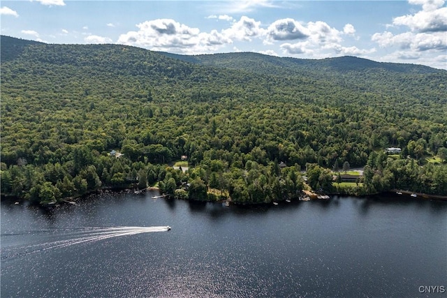 aerial view featuring a wooded view and a water and mountain view