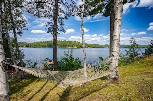 dock area featuring a water view