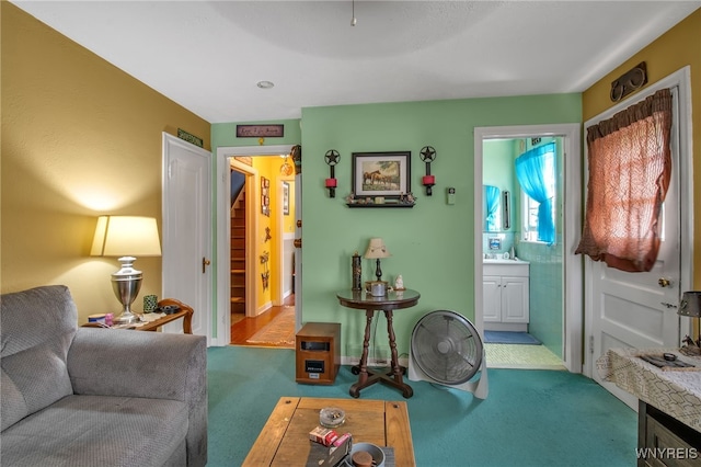 living room with carpet and sink