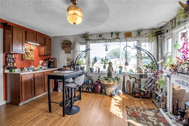 kitchen featuring light wood-type flooring, ceiling fan, sink, and a textured ceiling