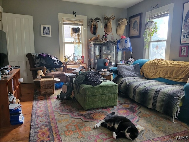 living room with hardwood / wood-style flooring