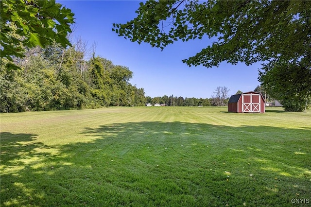 view of yard featuring an outbuilding and a storage unit