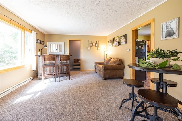 carpeted living room featuring a textured ceiling, baseboard heating, and baseboards