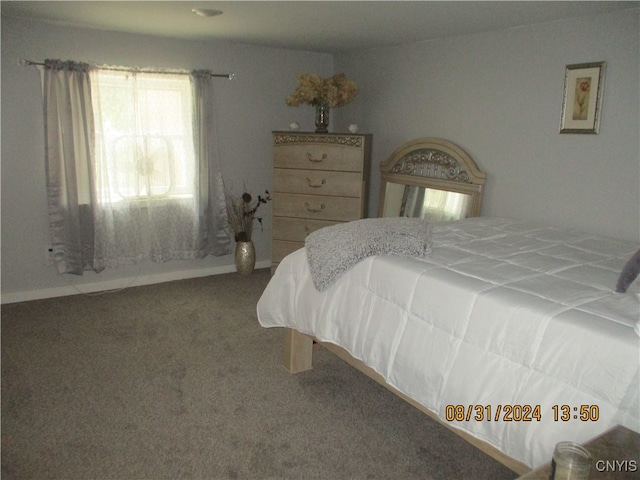 bedroom featuring carpet