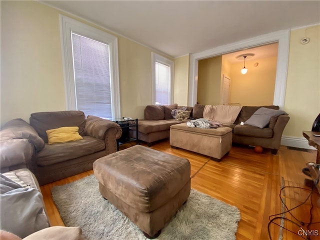 living room featuring hardwood / wood-style floors