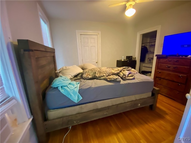 bedroom featuring hardwood / wood-style flooring, a spacious closet, ceiling fan, and a closet