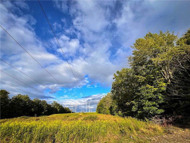 00 Doolittle Rd, Baldwin, NY 14859
