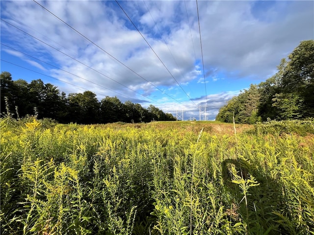 00 Doolittle Rd, Baldwin, NY 14859