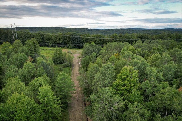 00 Doolittle Rd, Baldwin, NY 14859