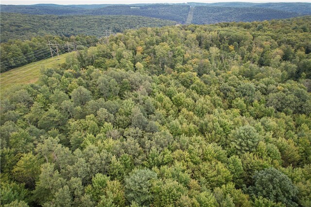 00 Doolittle Rd, Baldwin, NY 14859