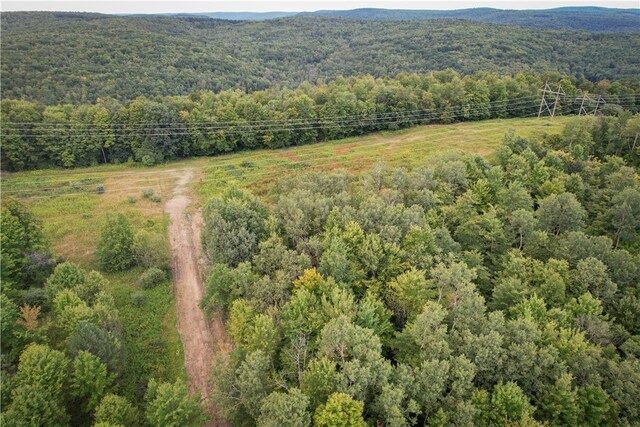 00 Doolittle Rd, Baldwin, NY 14859