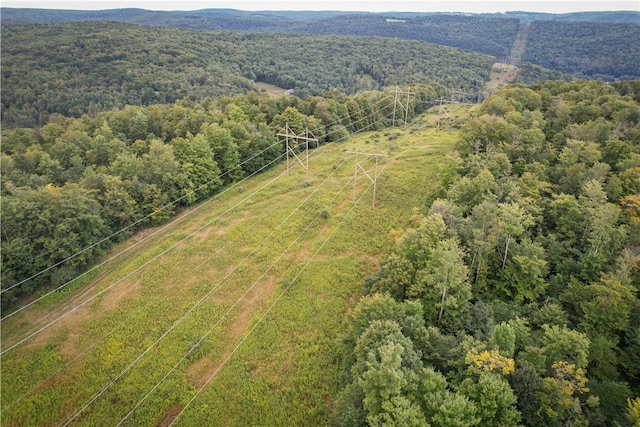 00 Doolittle Rd, Baldwin, NY 14859