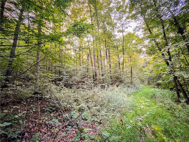 00 Doolittle Rd, Baldwin, NY 14859