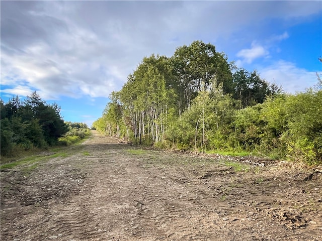 00 Doolittle Rd, Baldwin, NY 14859