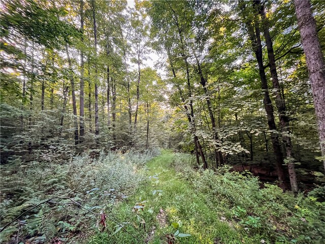 00 Doolittle Rd, Baldwin, NY 14859