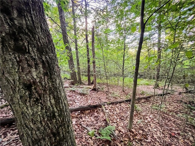 00 Doolittle Rd, Baldwin, NY 14859