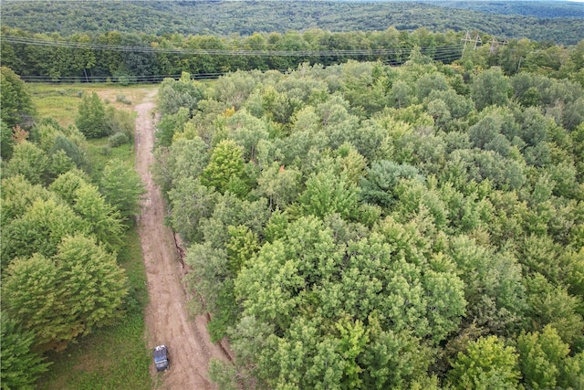 00 Doolittle Rd, Baldwin, NY 14859