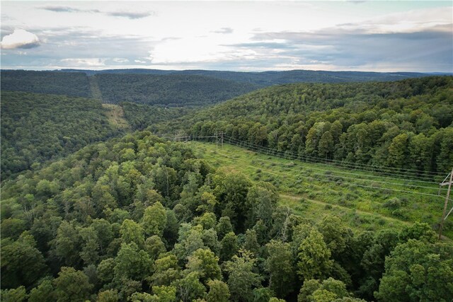 00 Doolittle Rd, Baldwin, NY 14859