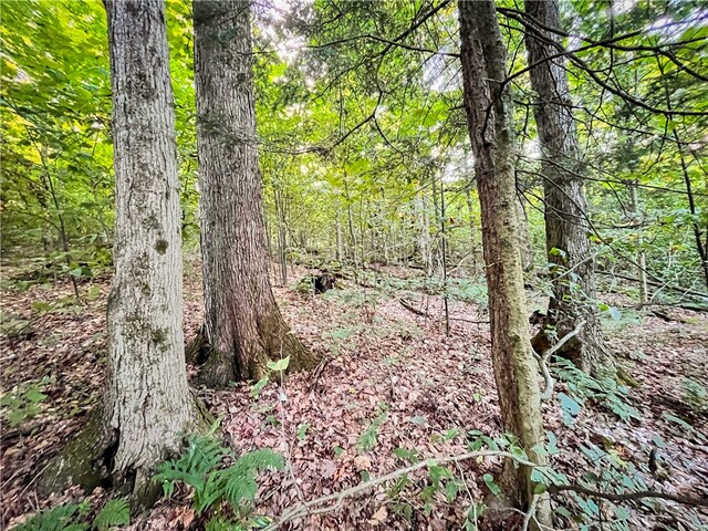 00 Doolittle Rd, Baldwin, NY 14859