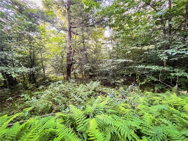 00 Doolittle Rd, Baldwin, NY 14859