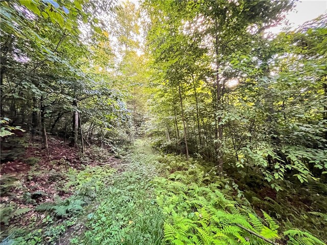 00 Doolittle Rd, Baldwin, NY 14859