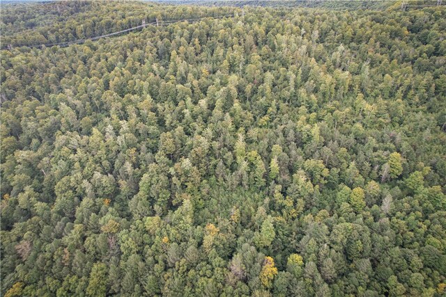 00 Doolittle Rd, Baldwin, NY 14859