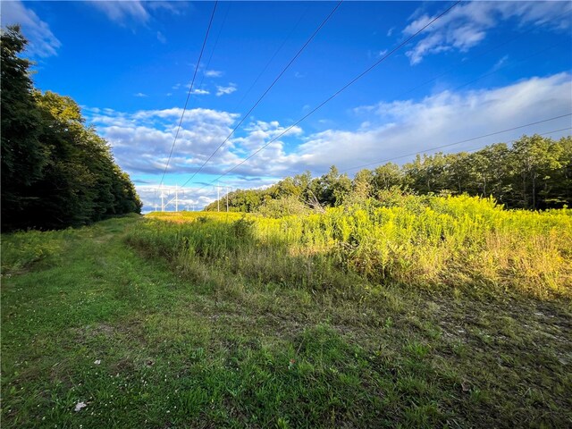 00 Doolittle Rd, Baldwin, NY 14859