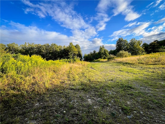 00 Doolittle Rd, Baldwin, NY 14859