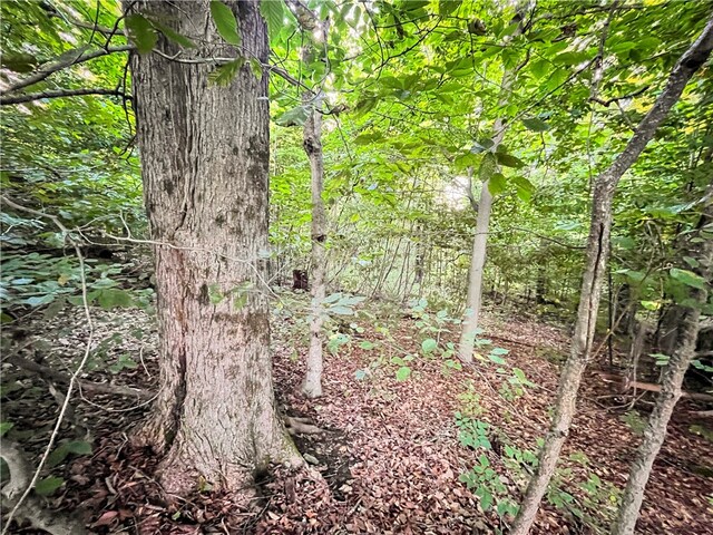 00 Doolittle Rd, Baldwin, NY 14859