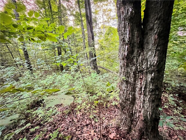 00 Doolittle Rd, Baldwin, NY 14859