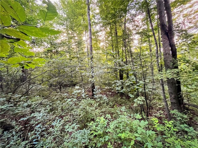 00 Doolittle Rd, Baldwin, NY 14859
